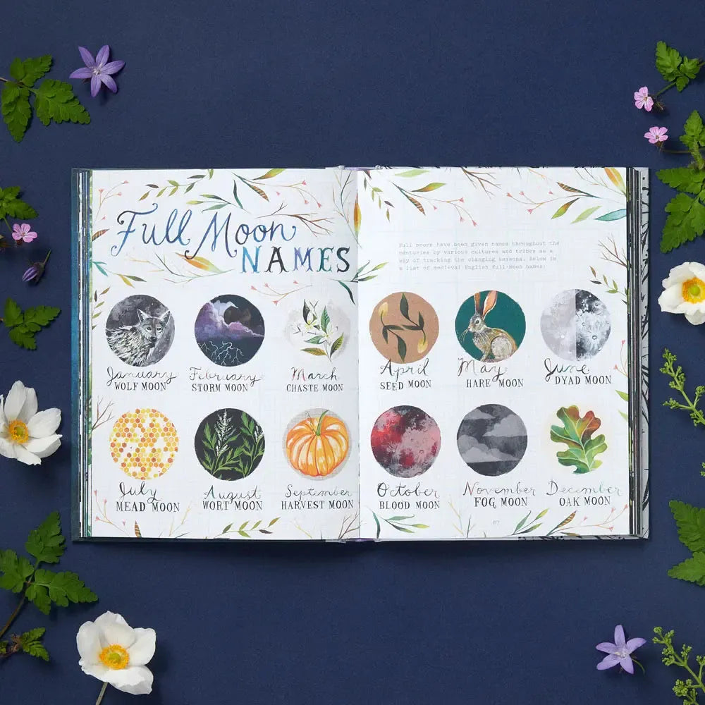 How to Be a Moonflower: A Field Guide *SIGNED BOOK!*