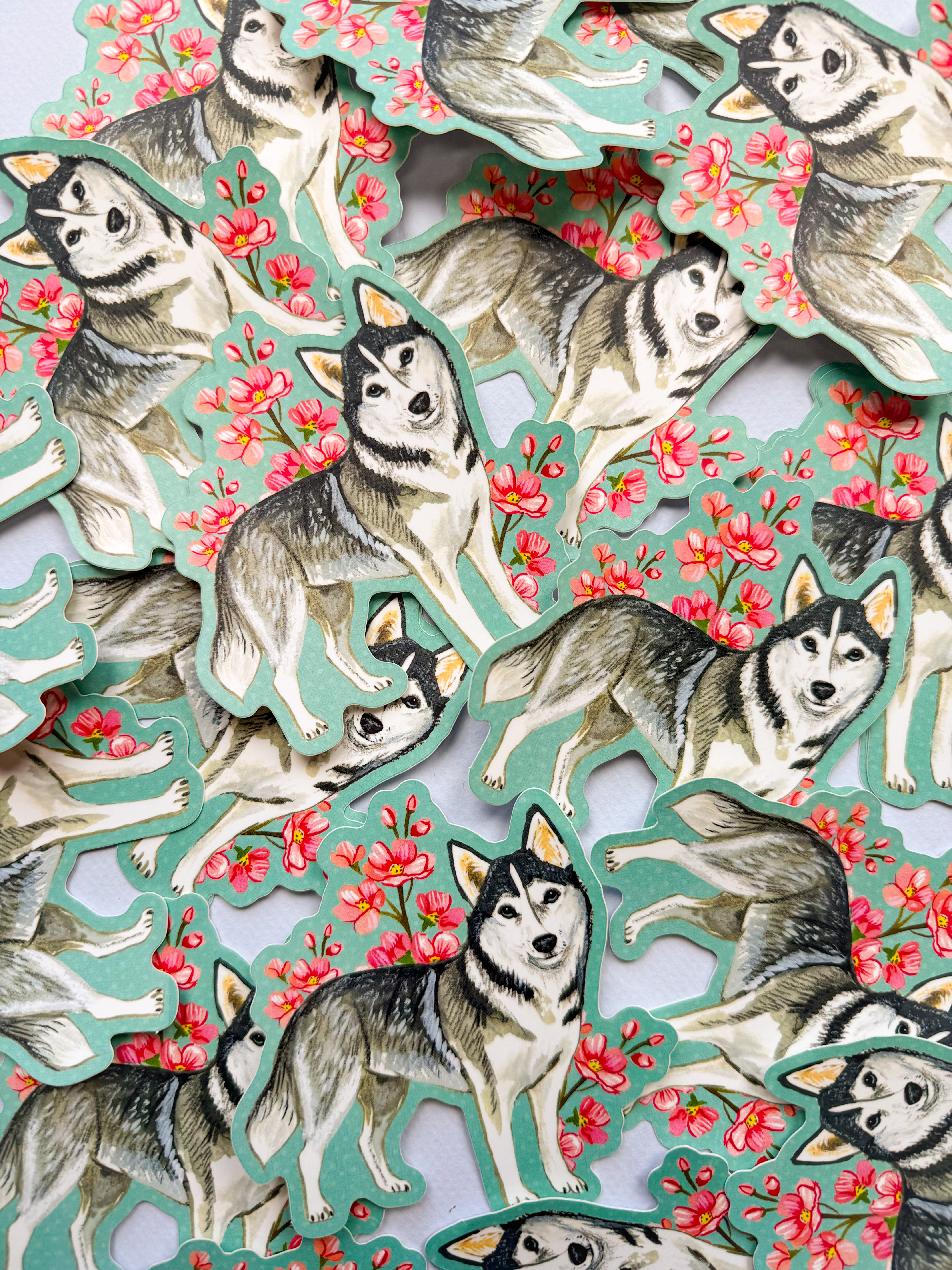 Husky Sticker