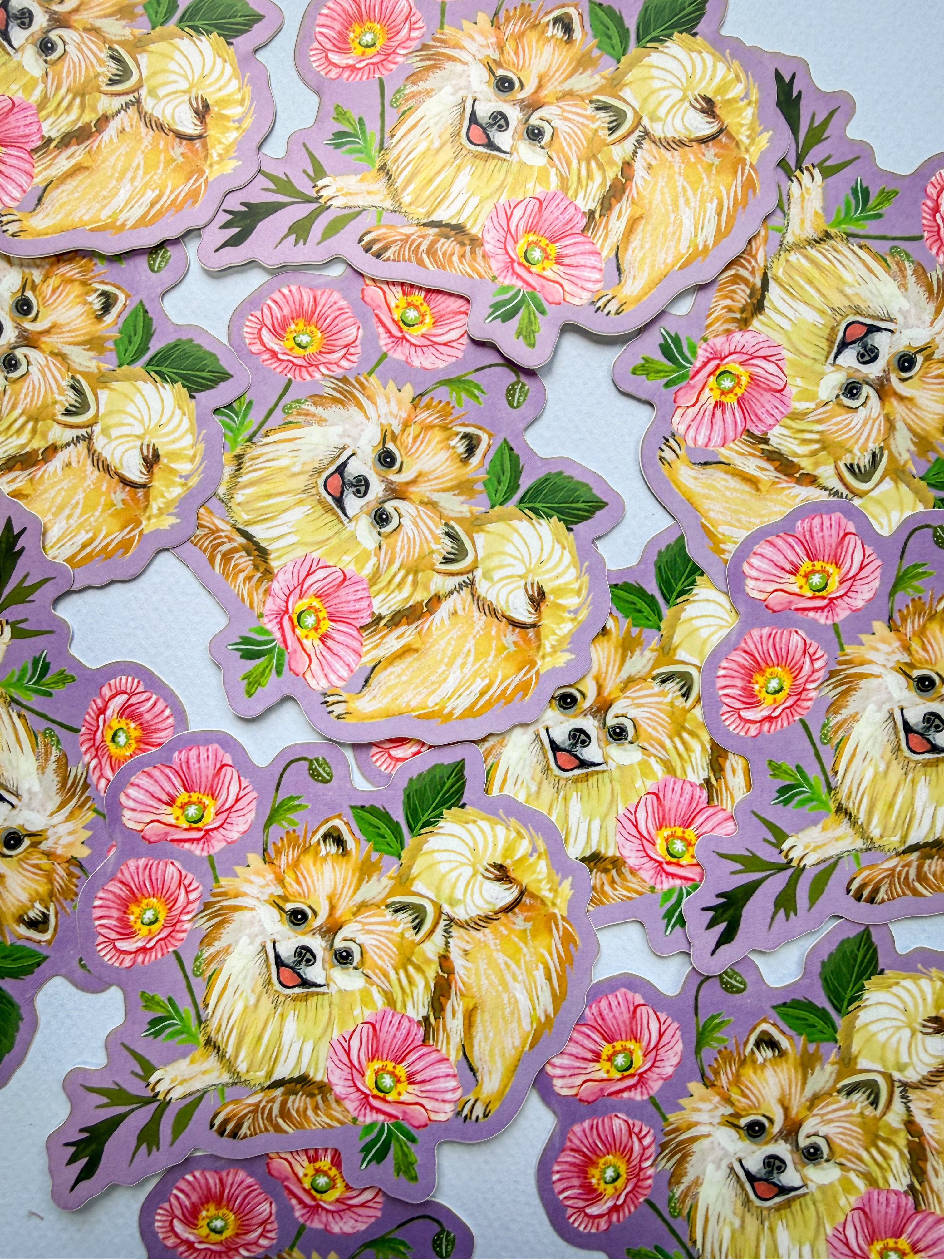 Pomeranian Sticker