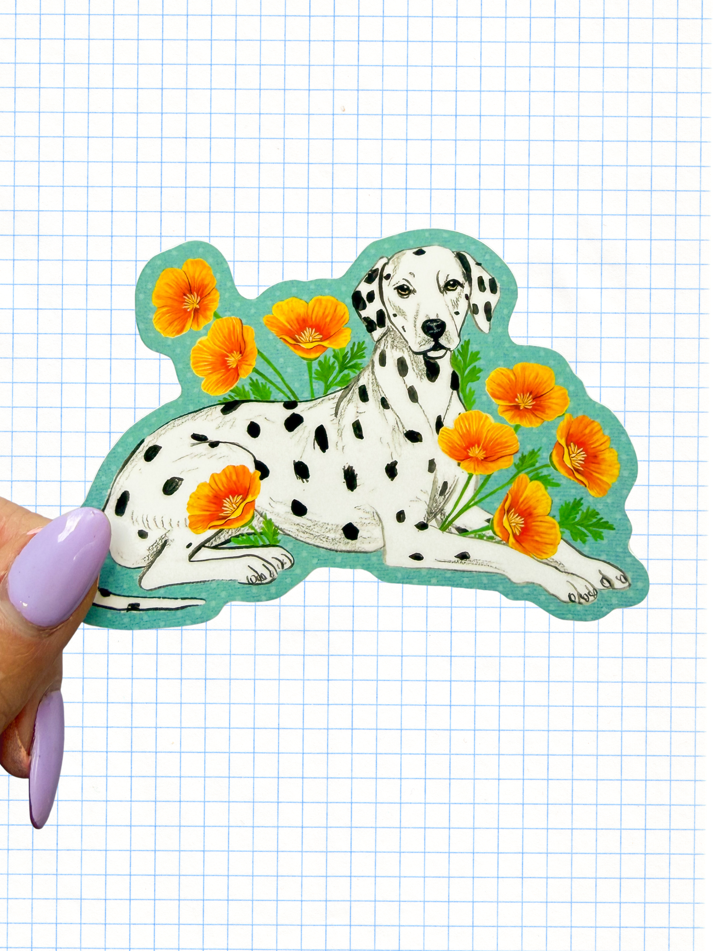 Dalmatian Sticker