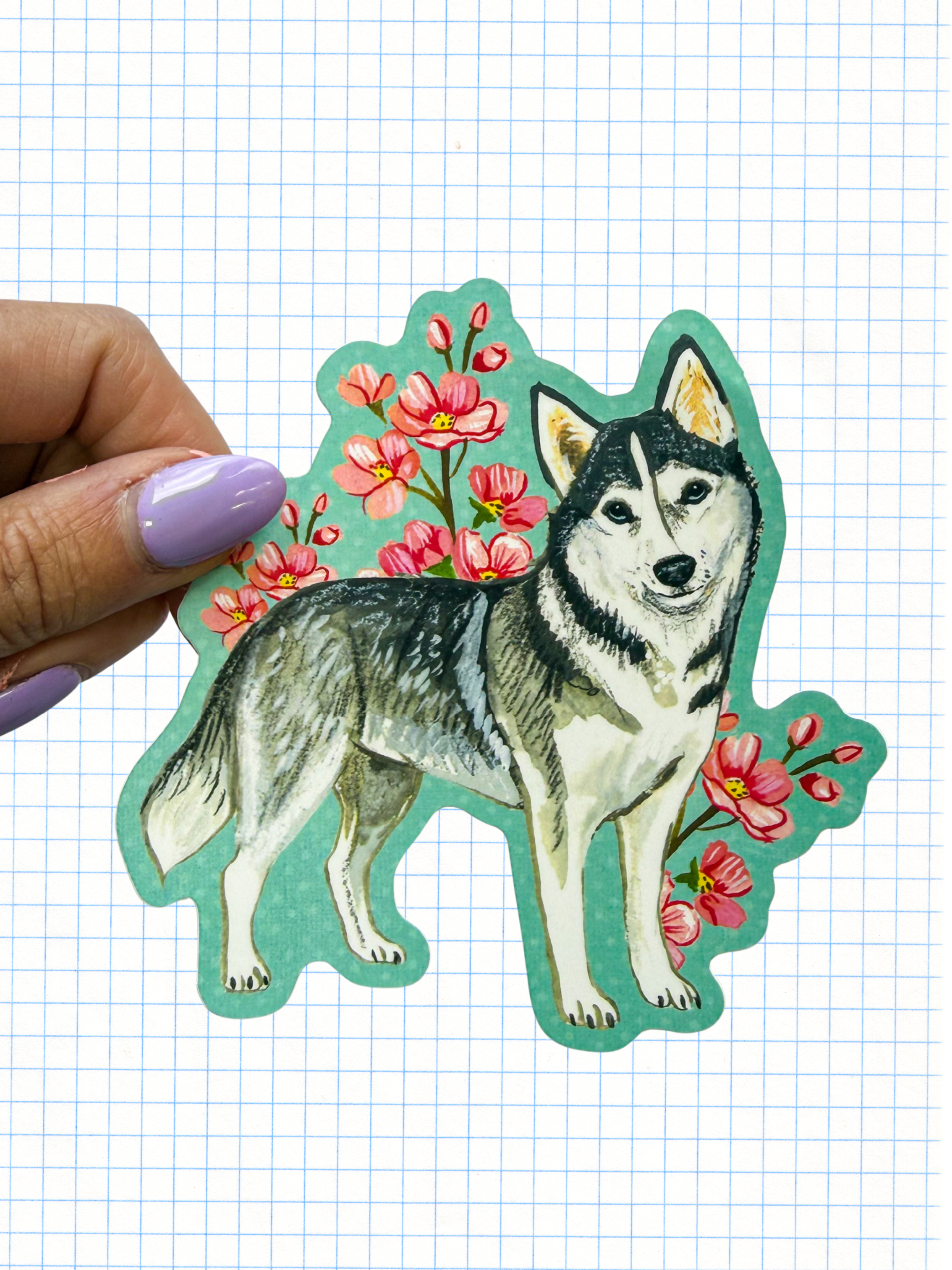 Husky Sticker