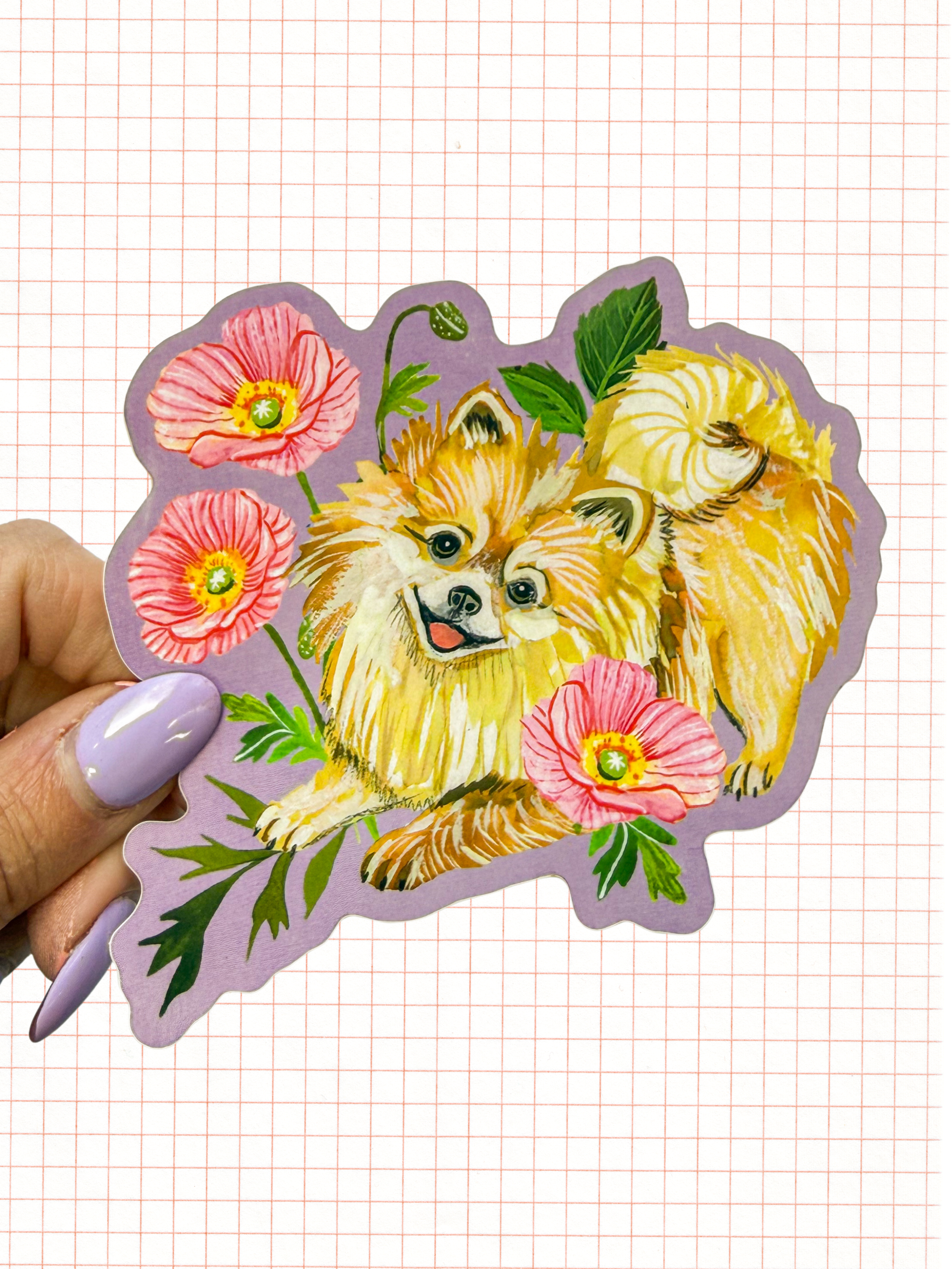 Pomeranian Sticker