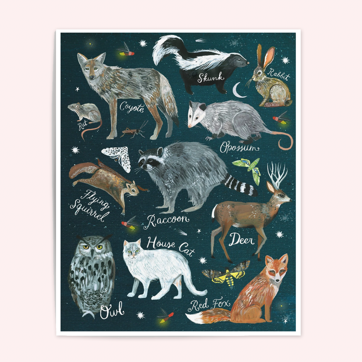 Nighttime Creatures Art Print