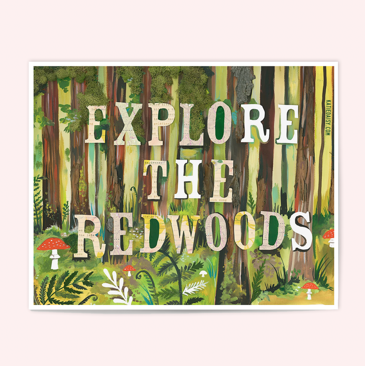 Explore The Redwoods Art Print