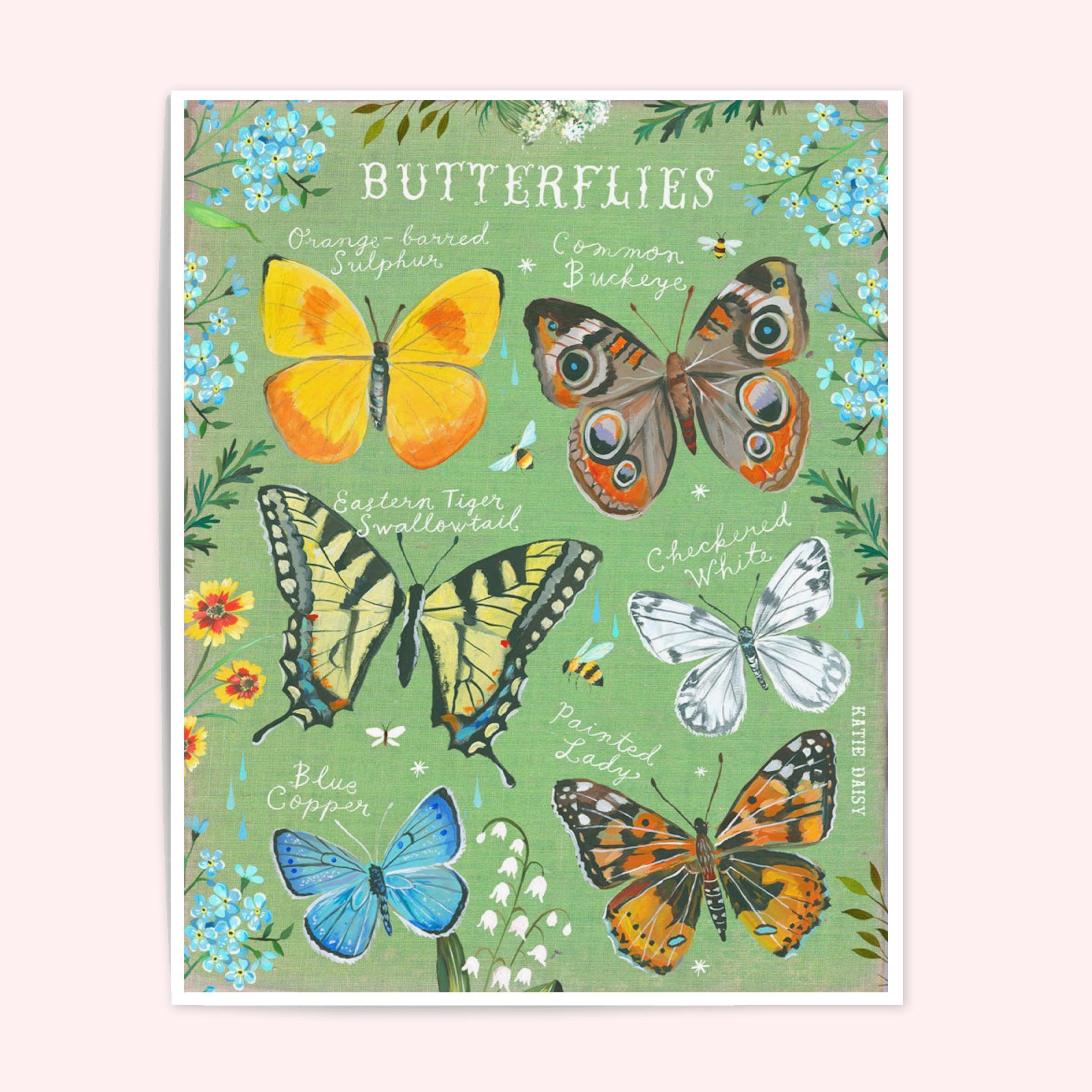 Butterfly ID Chart Art Print