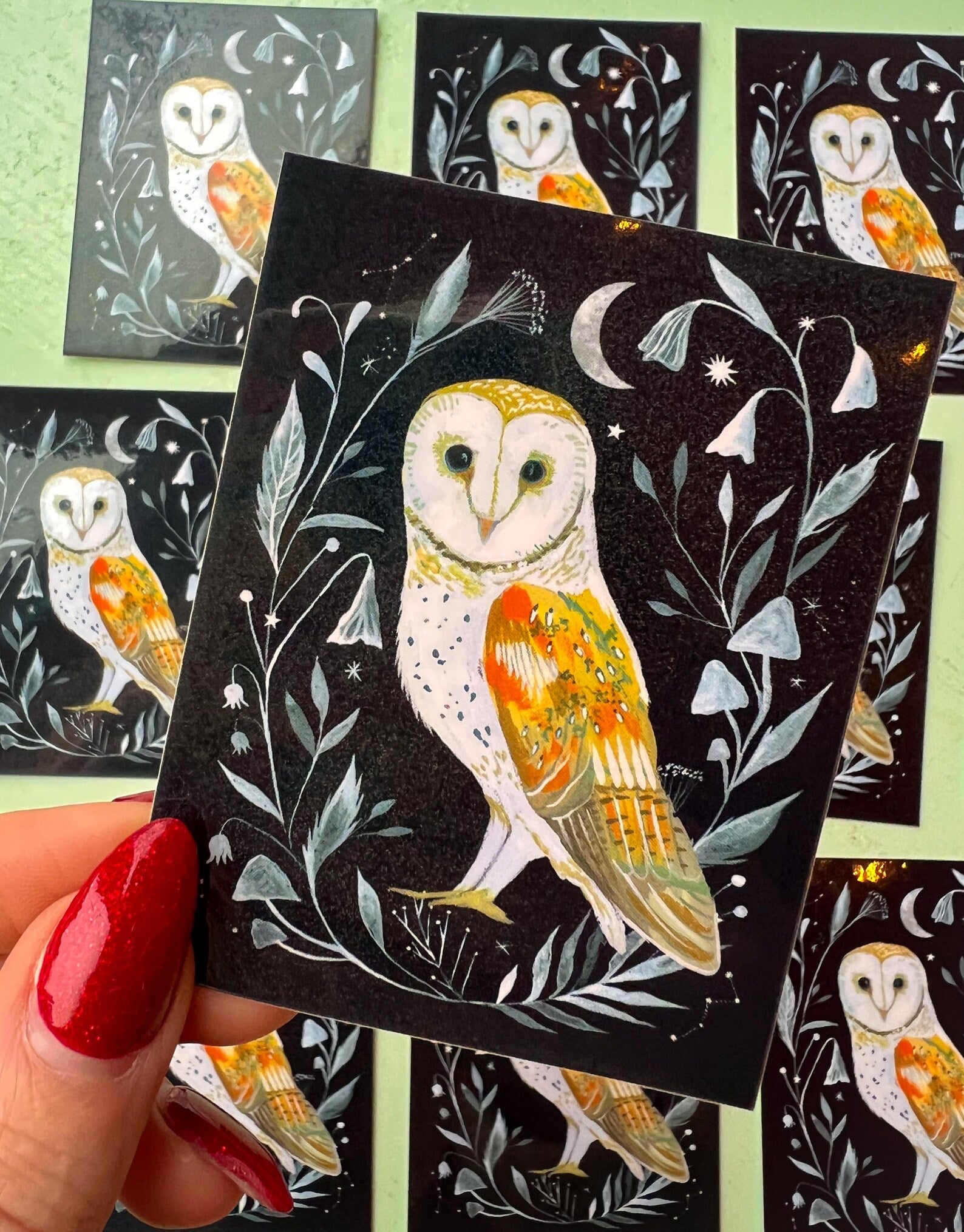 Barn Owl Sticker