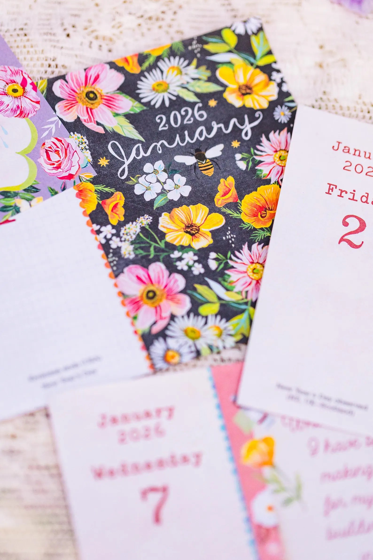 Wild Beauty 2026 Day-to-Day Calendar by Katie Daisy