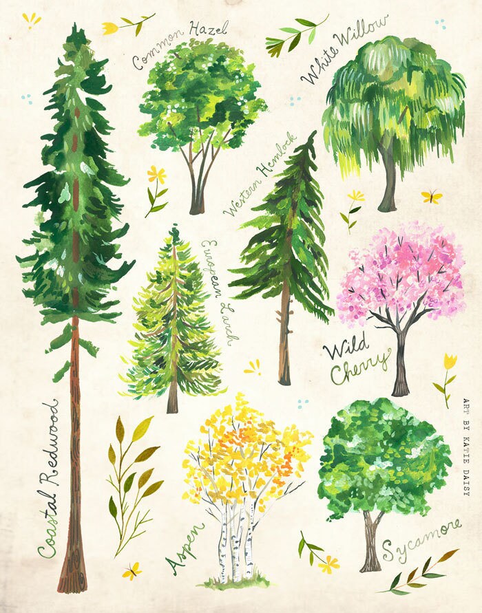 Trees Art Print | Nature Chart