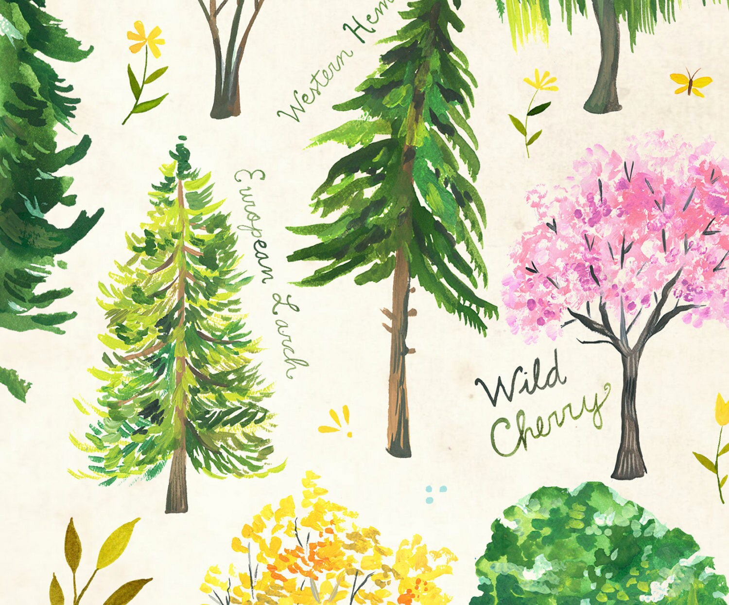 Trees Art Print | Nature Chart