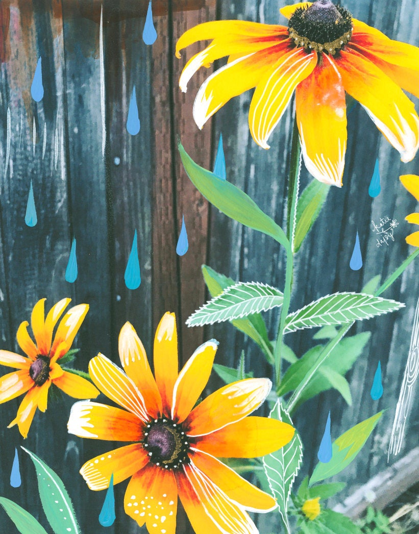 Black-Eyed Susan Art Print