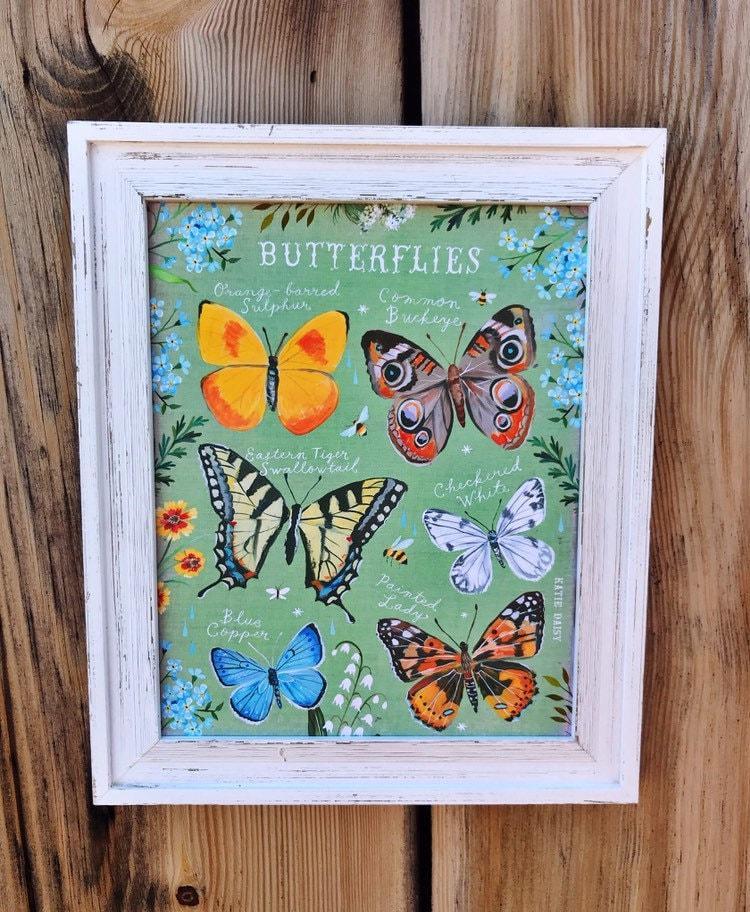 Butterfly ID Chart Art Print