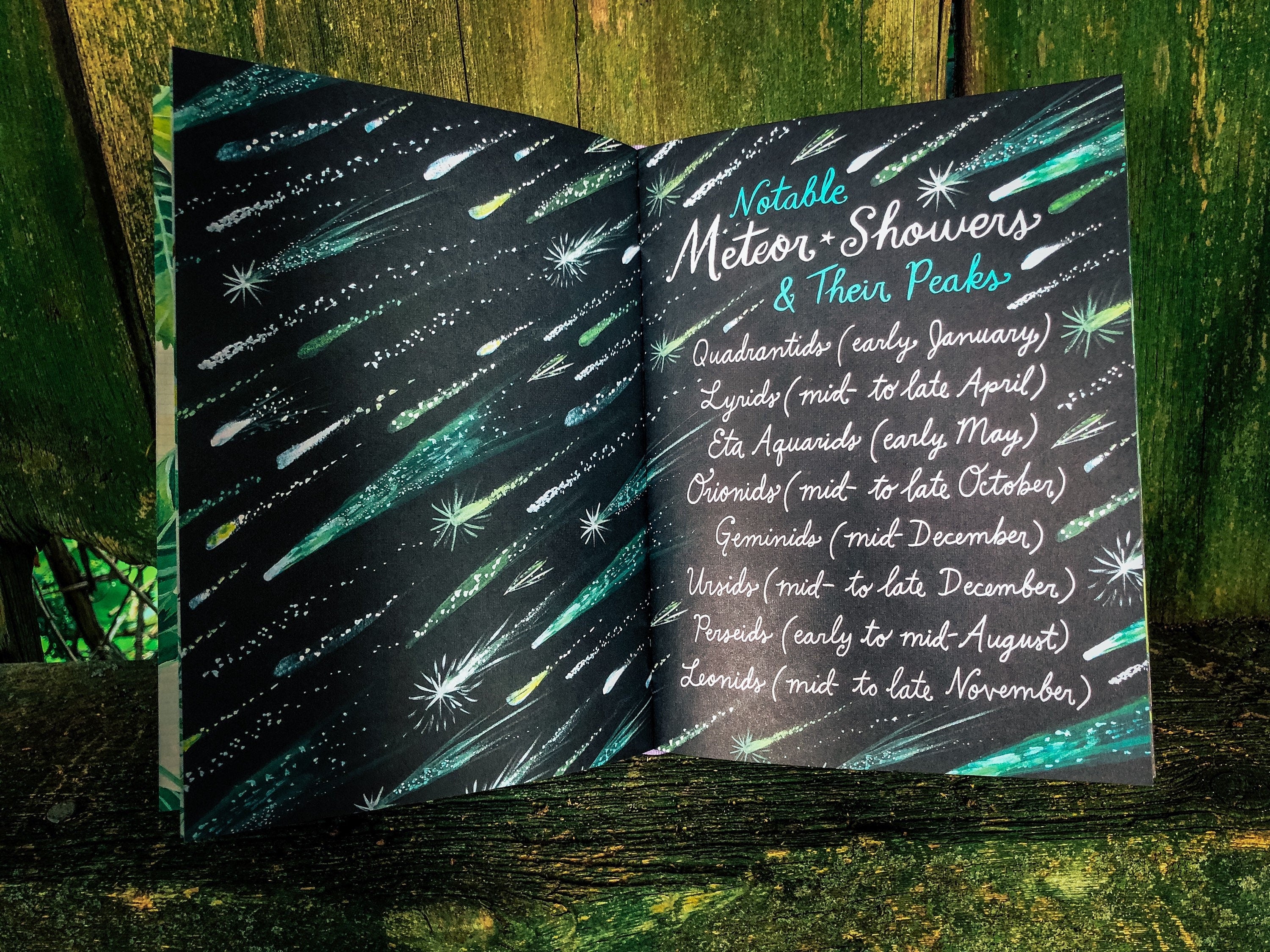 How to Be a Moonflower: A Field Guide *SIGNED BOOK!*