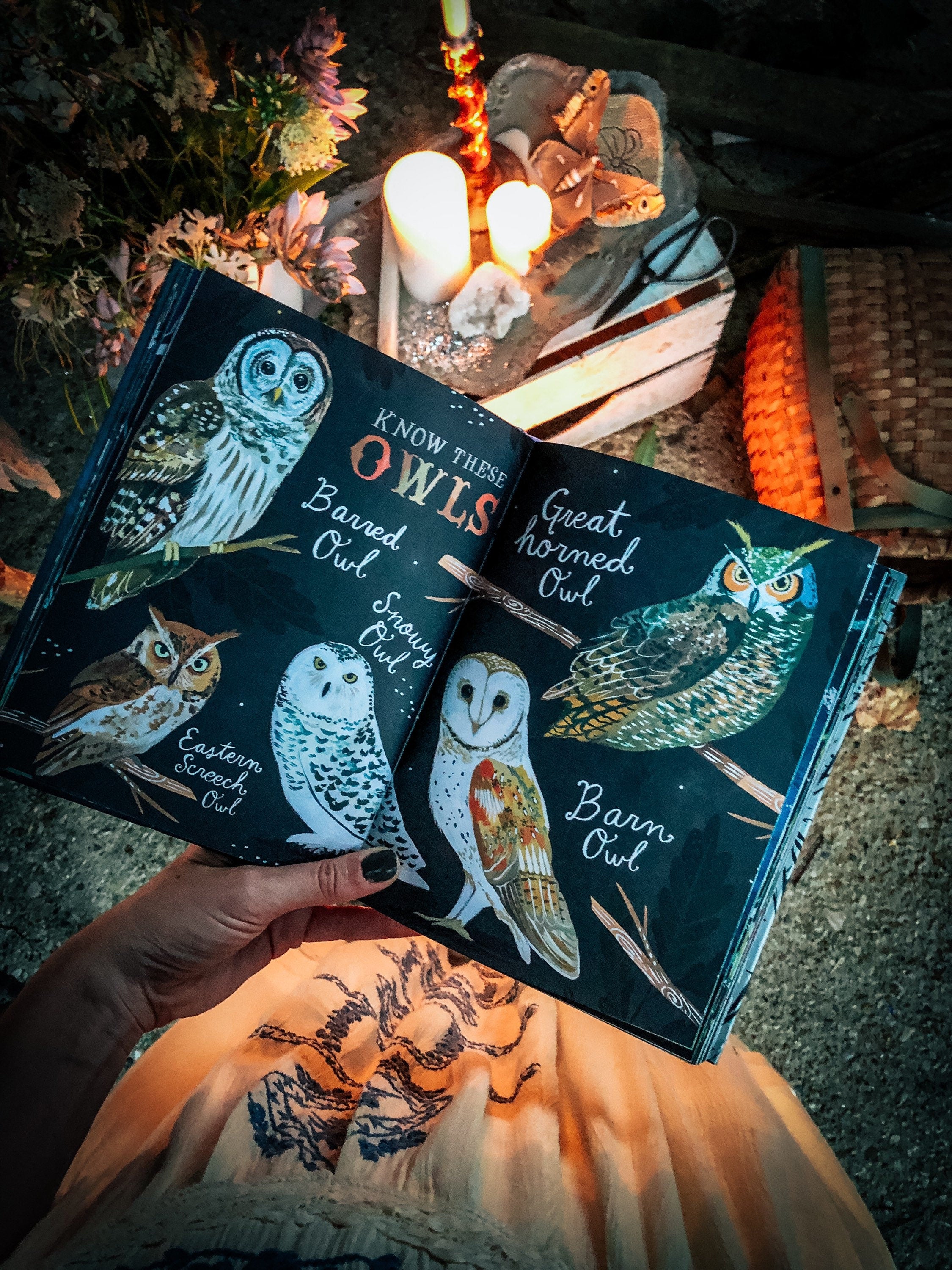 How to Be a Moonflower: A Field Guide *SIGNED BOOK!*