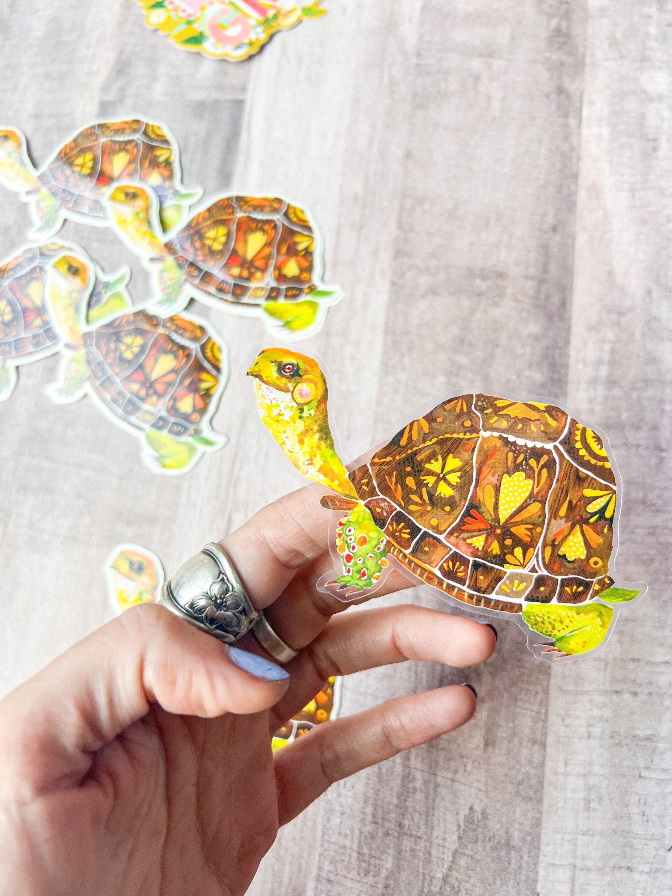 Box Turtle clear sticker