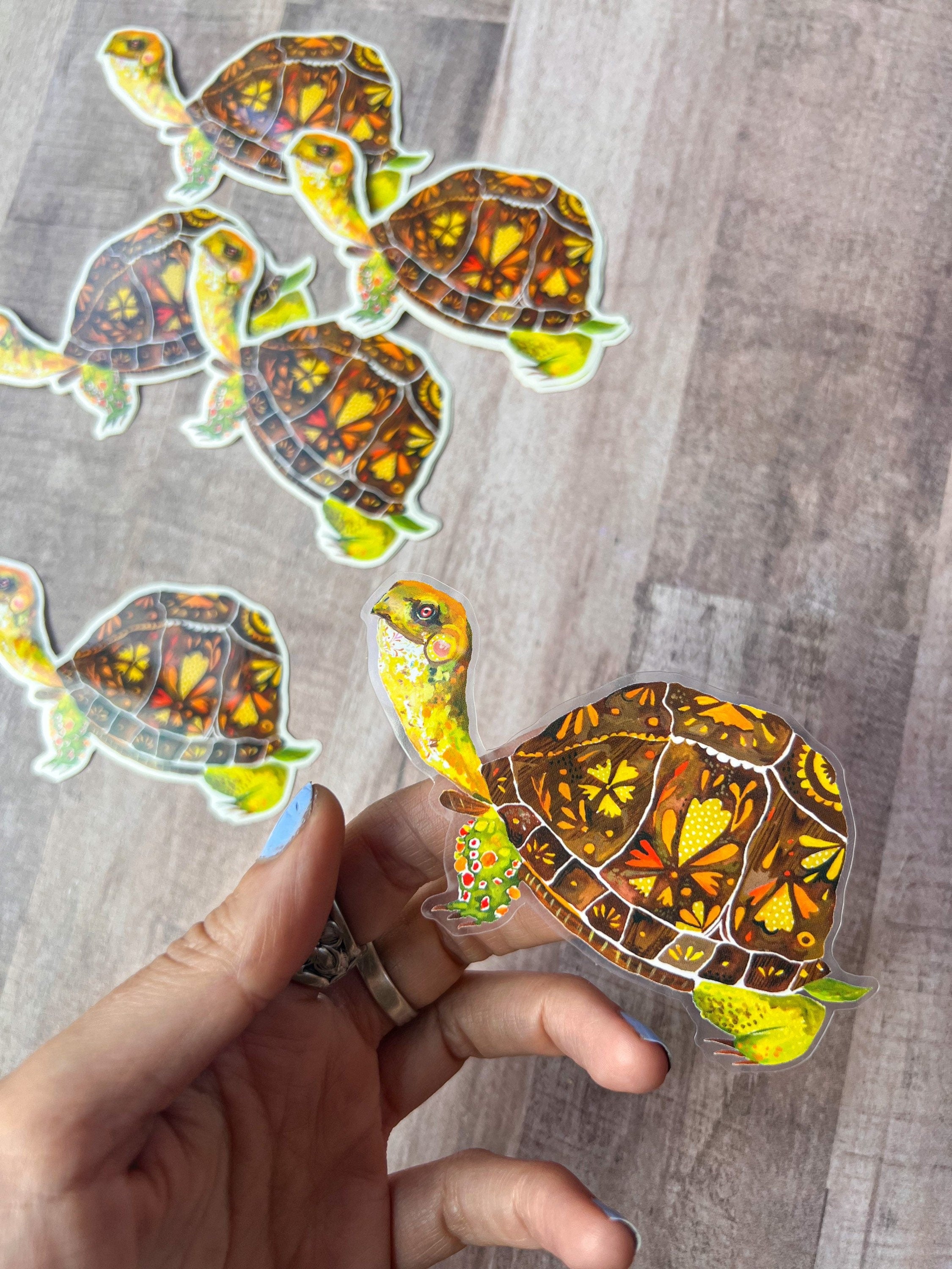 Box Turtle clear sticker