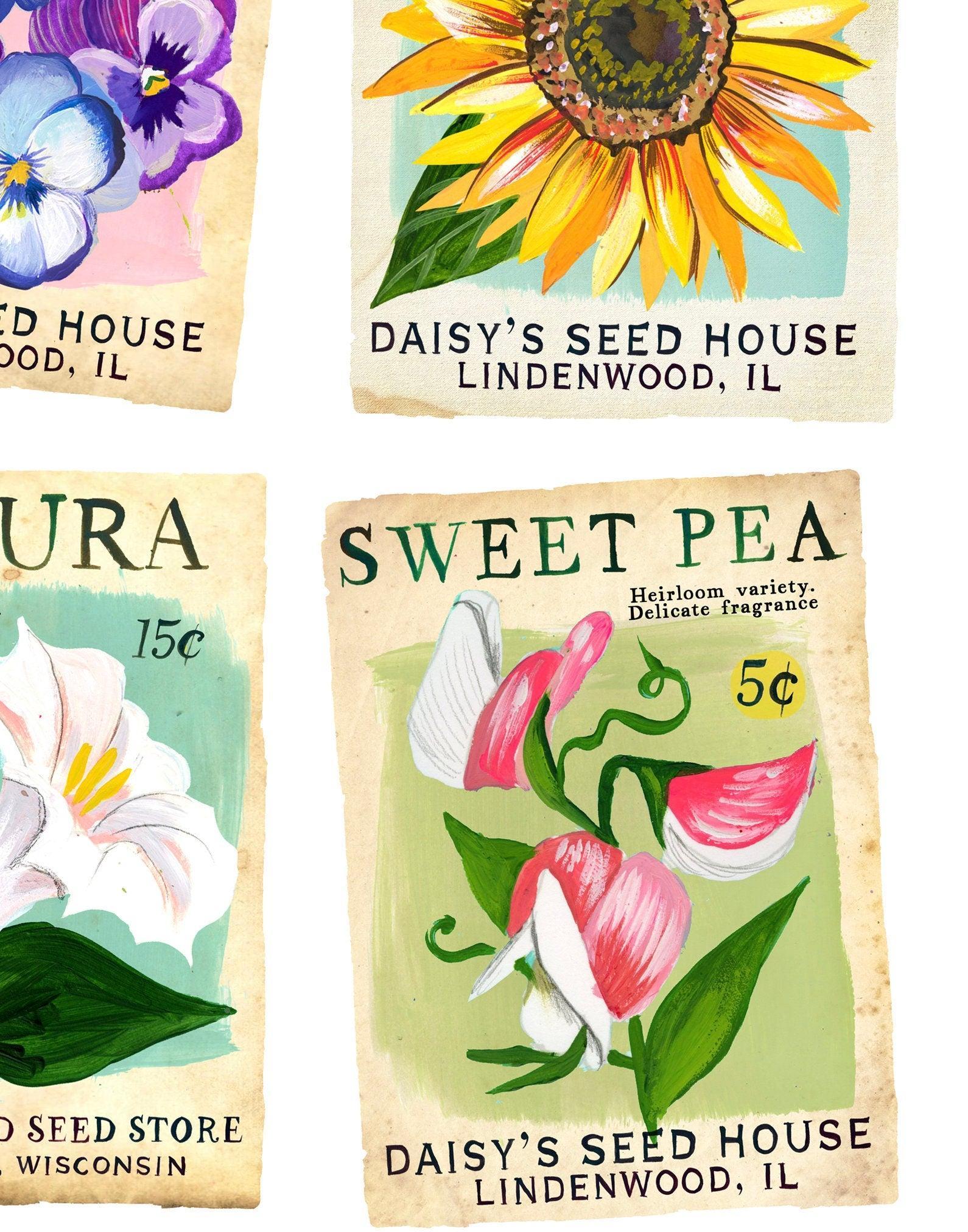 Vintage Seed Packets Art Print