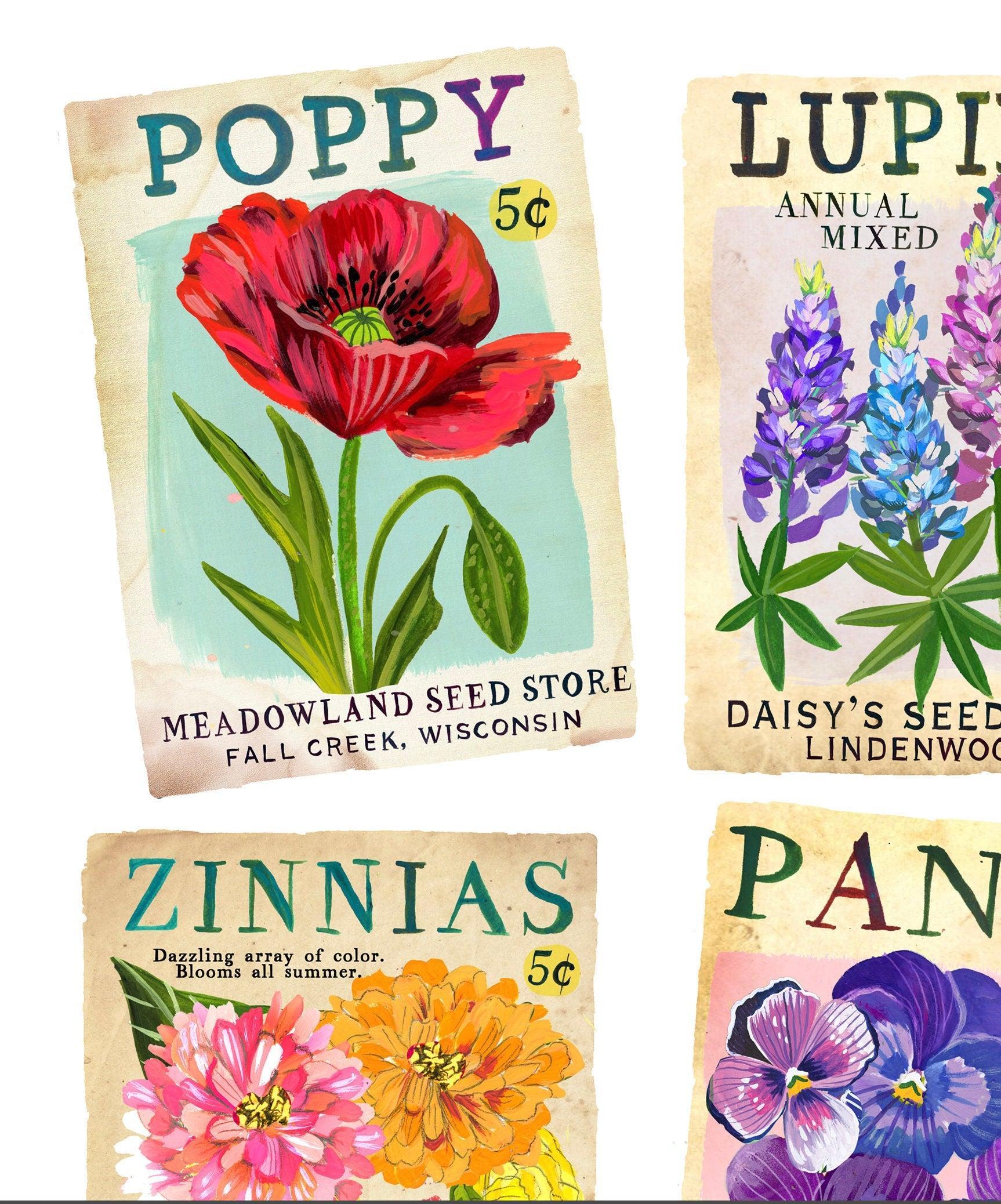 Vintage Seed Packets Art Print