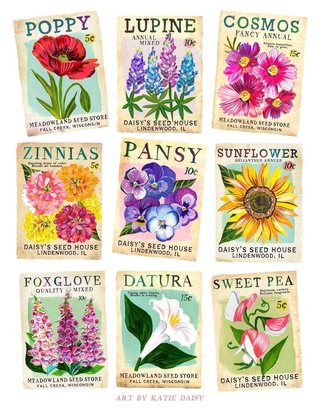 Vintage Seed Packets Art Print