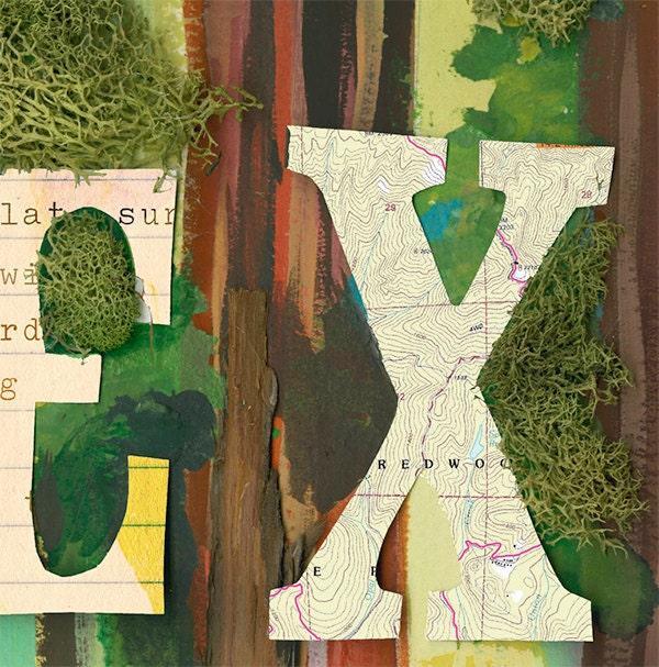 Explore The Redwoods Art Print