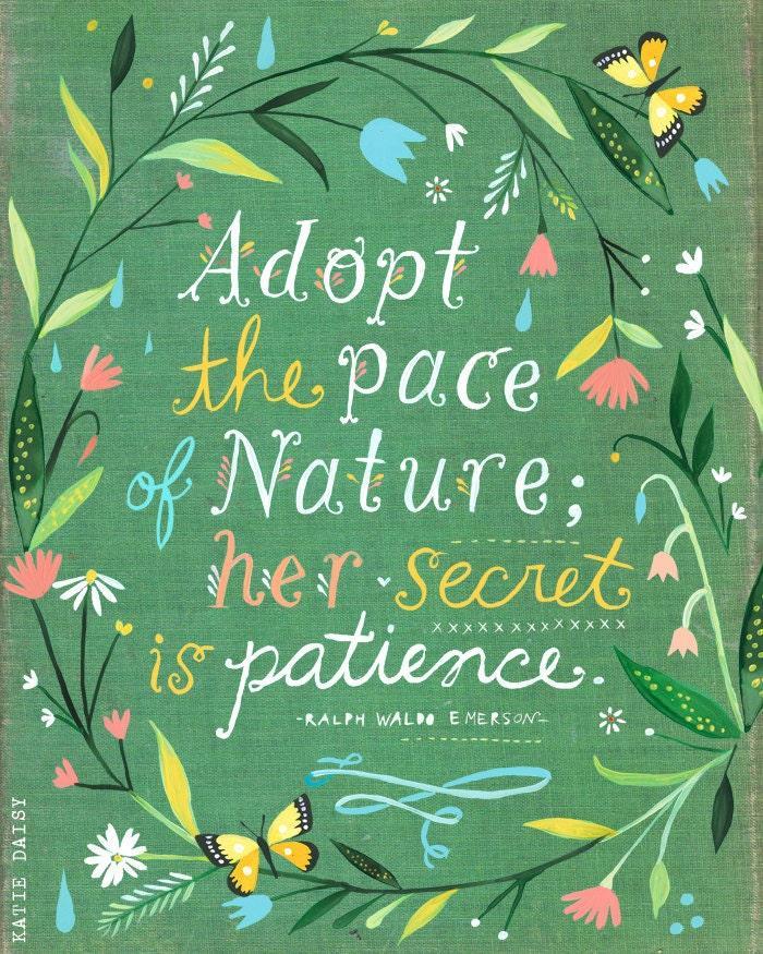 Pace of Nature Quote Art Print