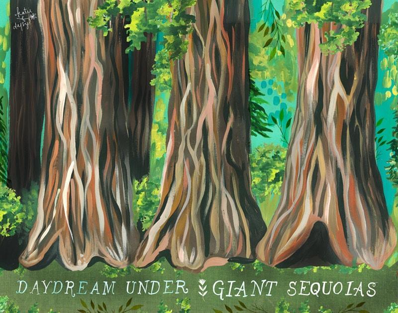 Giant Sequoias Art Print
