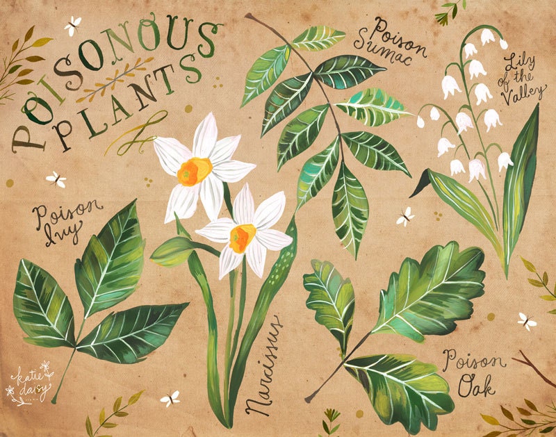 Poisonous Plants Art Print