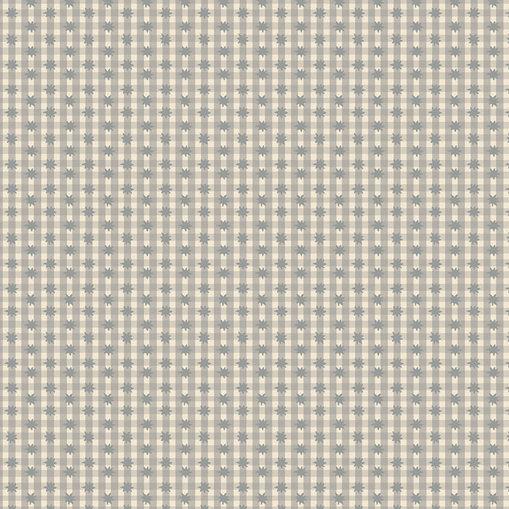 Meadow Star Gingham Gray