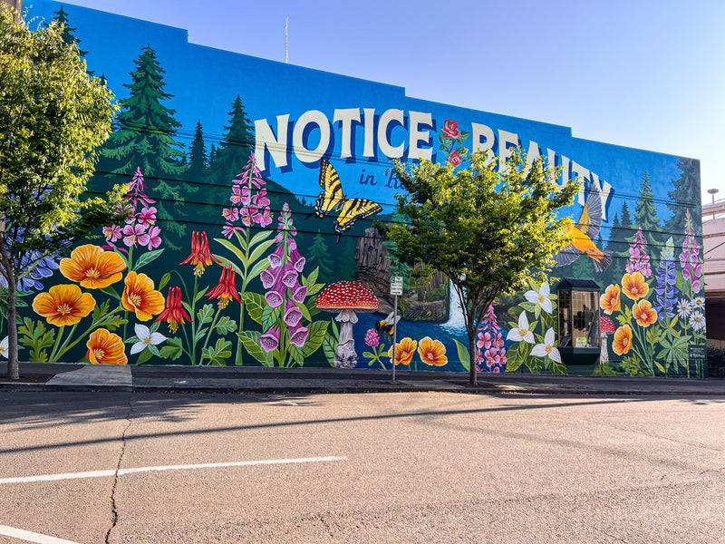 evmlookbook_expertvillagemedia