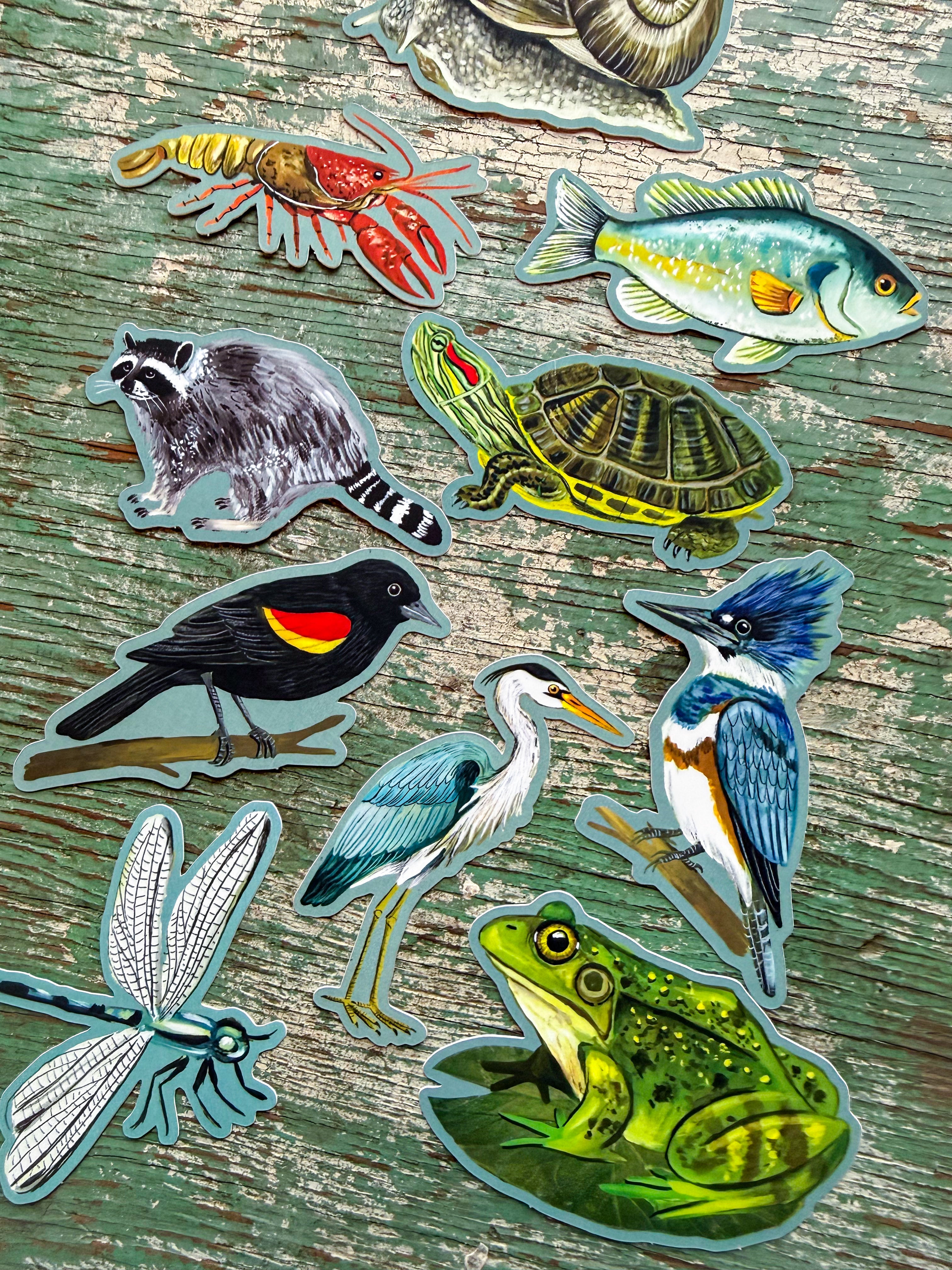 Creek Dwellers Sticker Pack - Set of 10 Matte Stickers