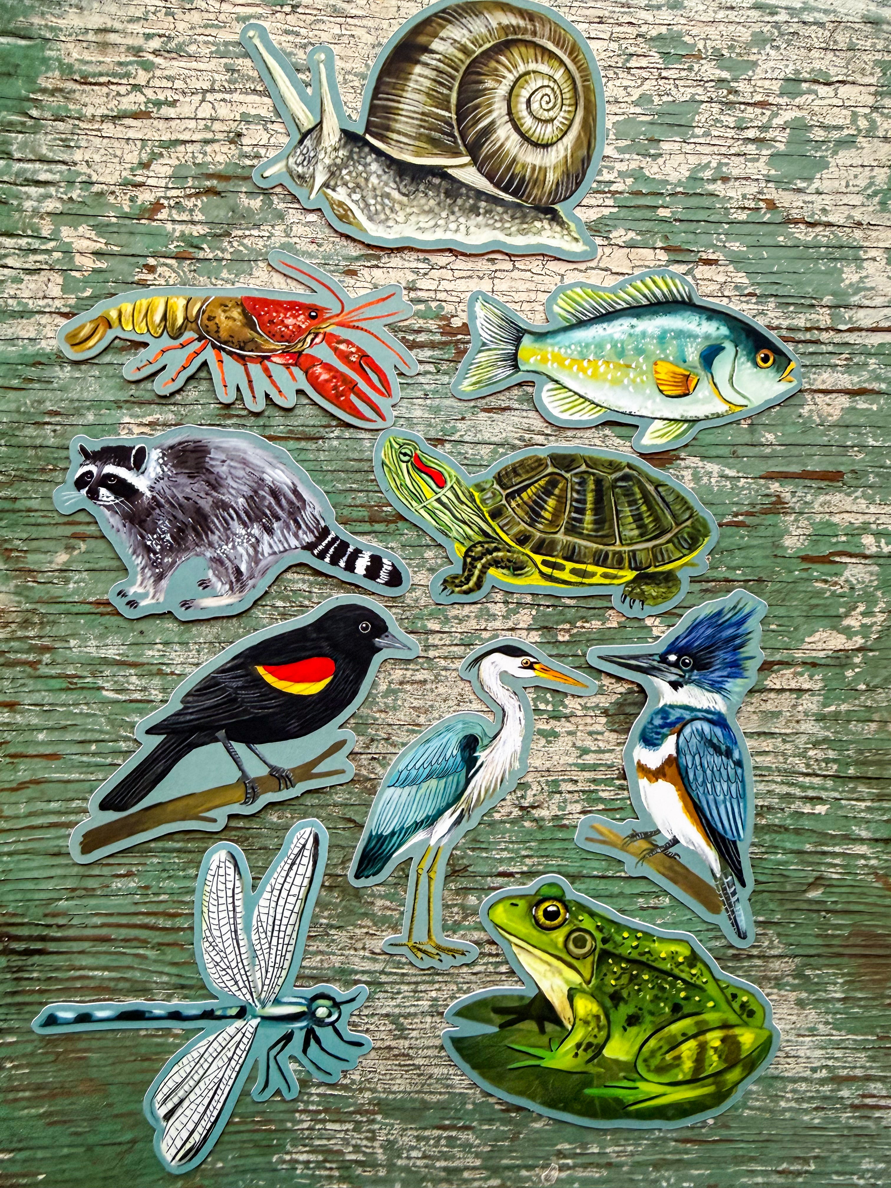 Creek Dwellers Sticker Pack - Set of 10 Matte Stickers
