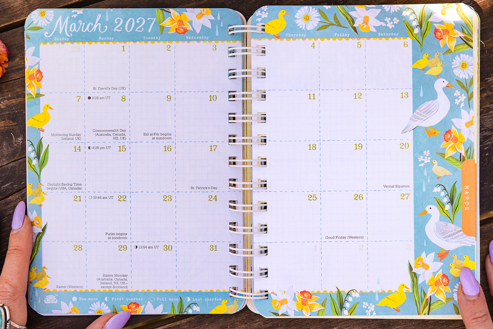 2027 Planner by Katie Daisy