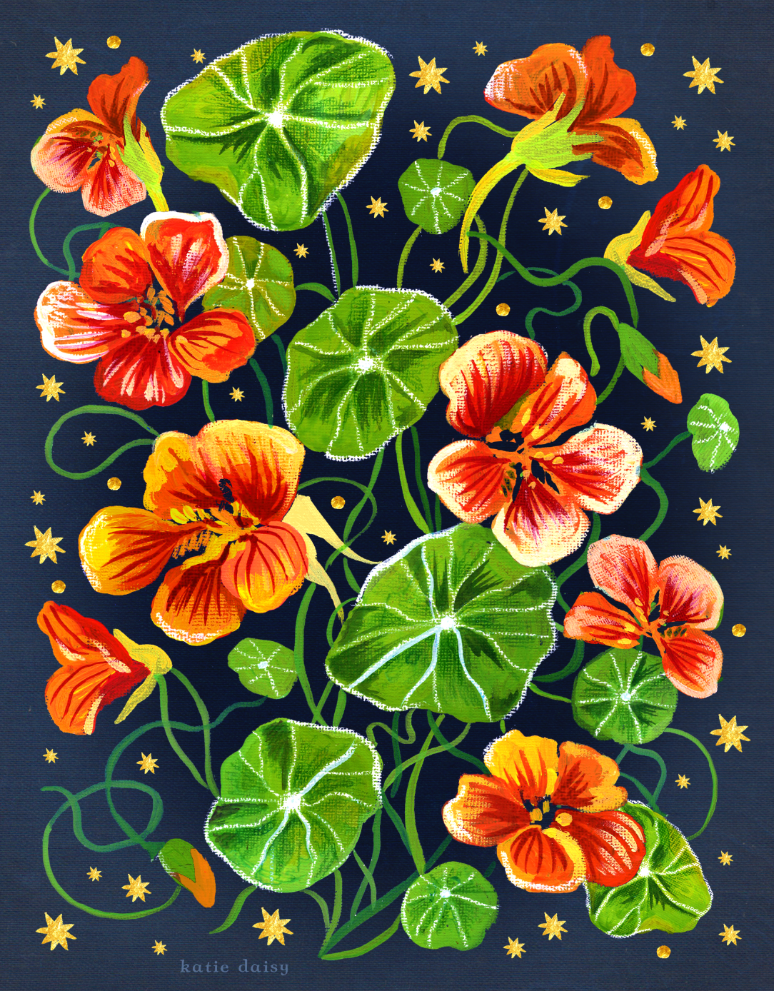 Nasturtium Art Print