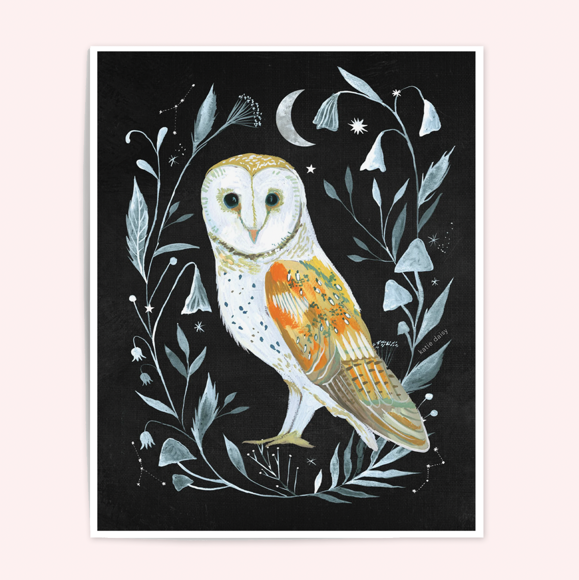 Barn Owl Art Print