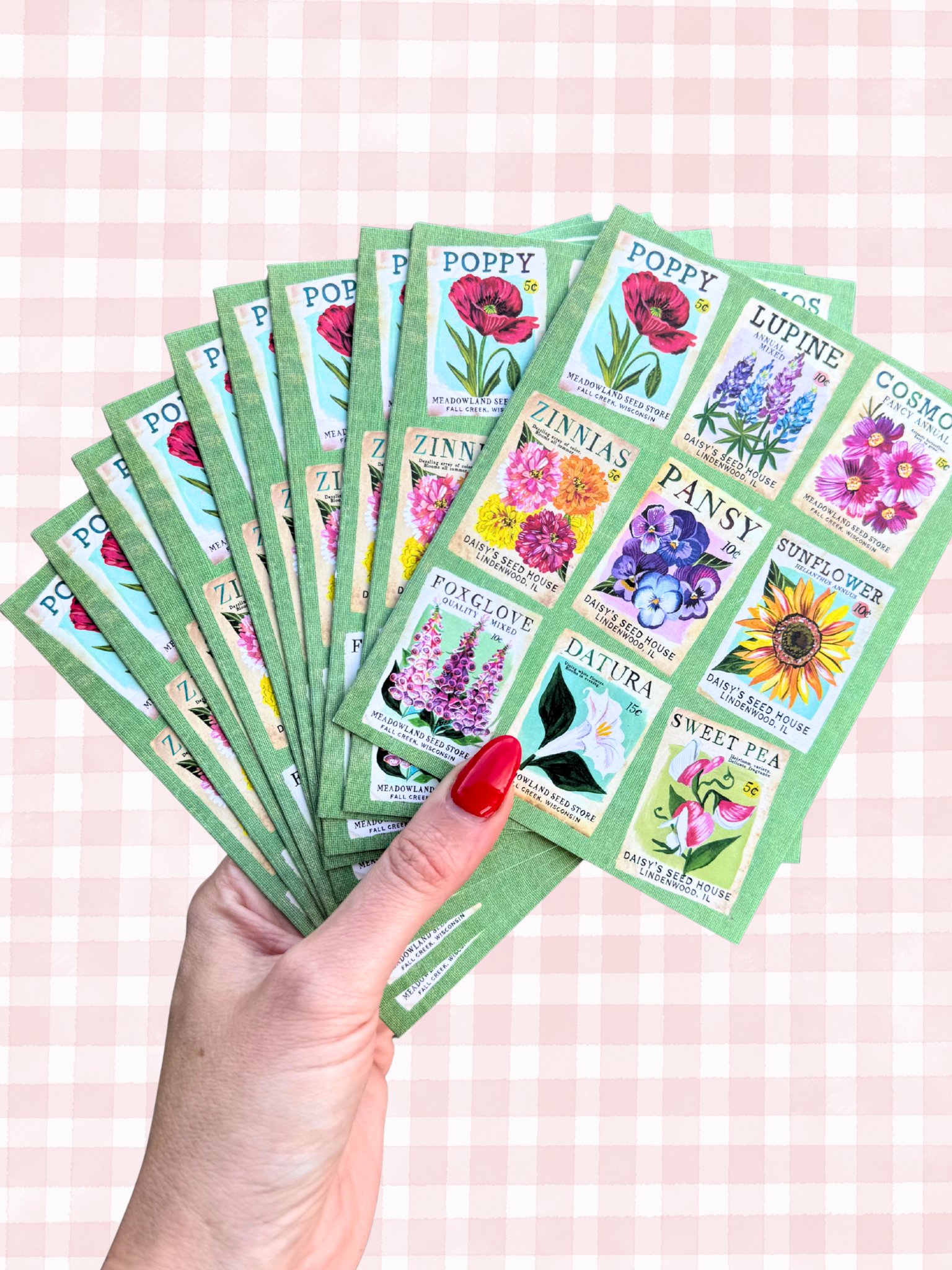 Seed Packets Notecard Set