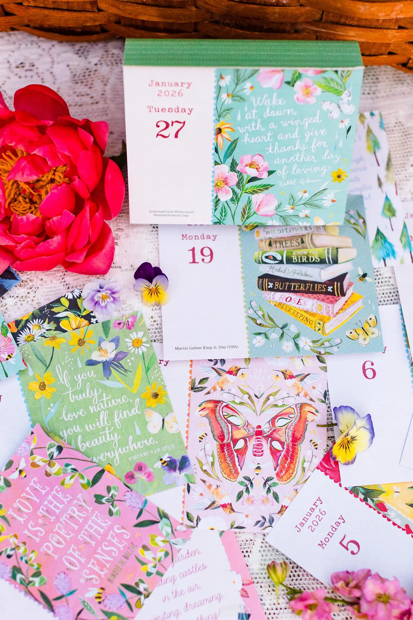 Wild Beauty 2026 Day-to-Day Calendar by Katie Daisy