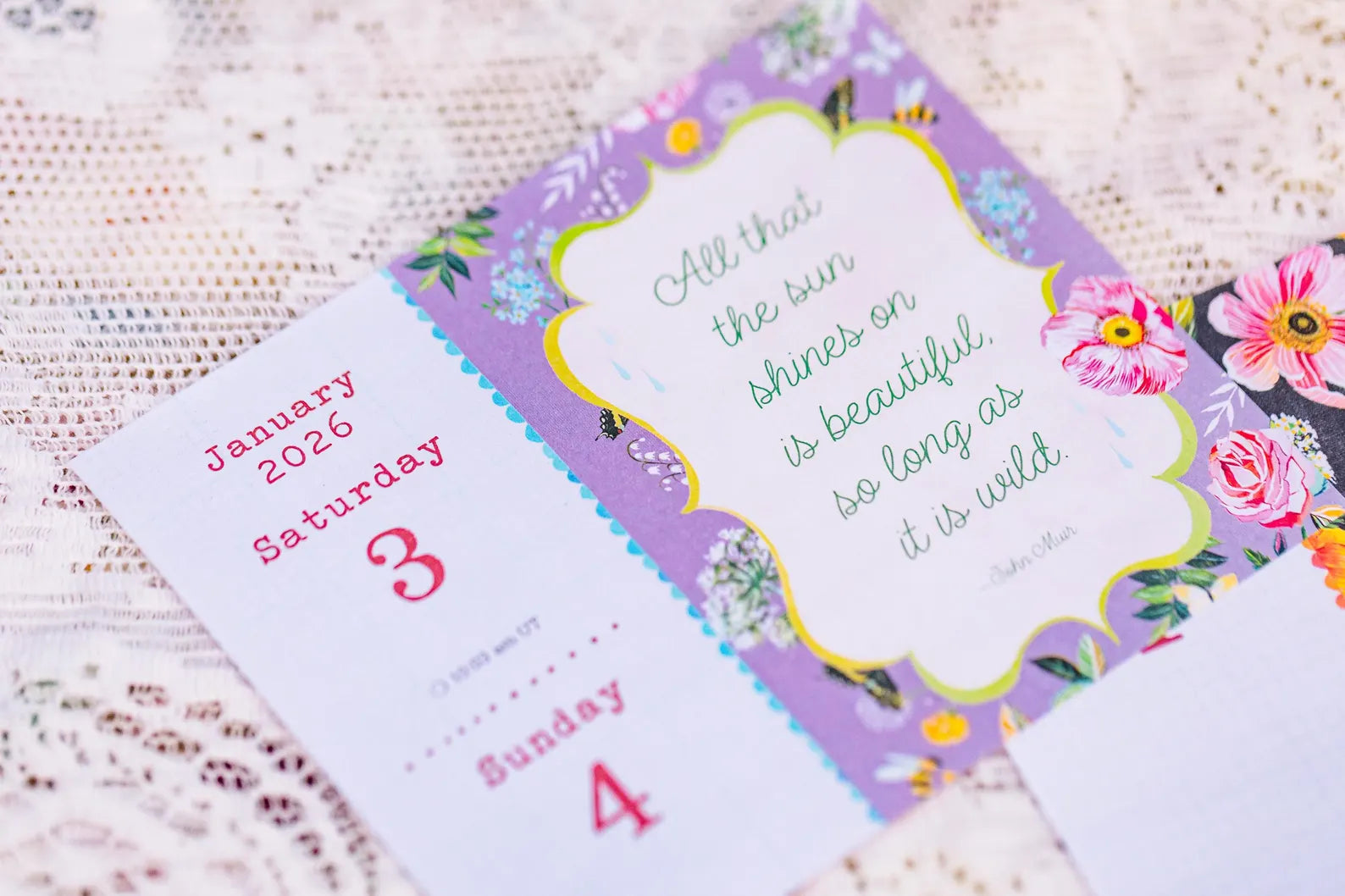 Wild Beauty 2026 Day-to-Day Calendar by Katie Daisy