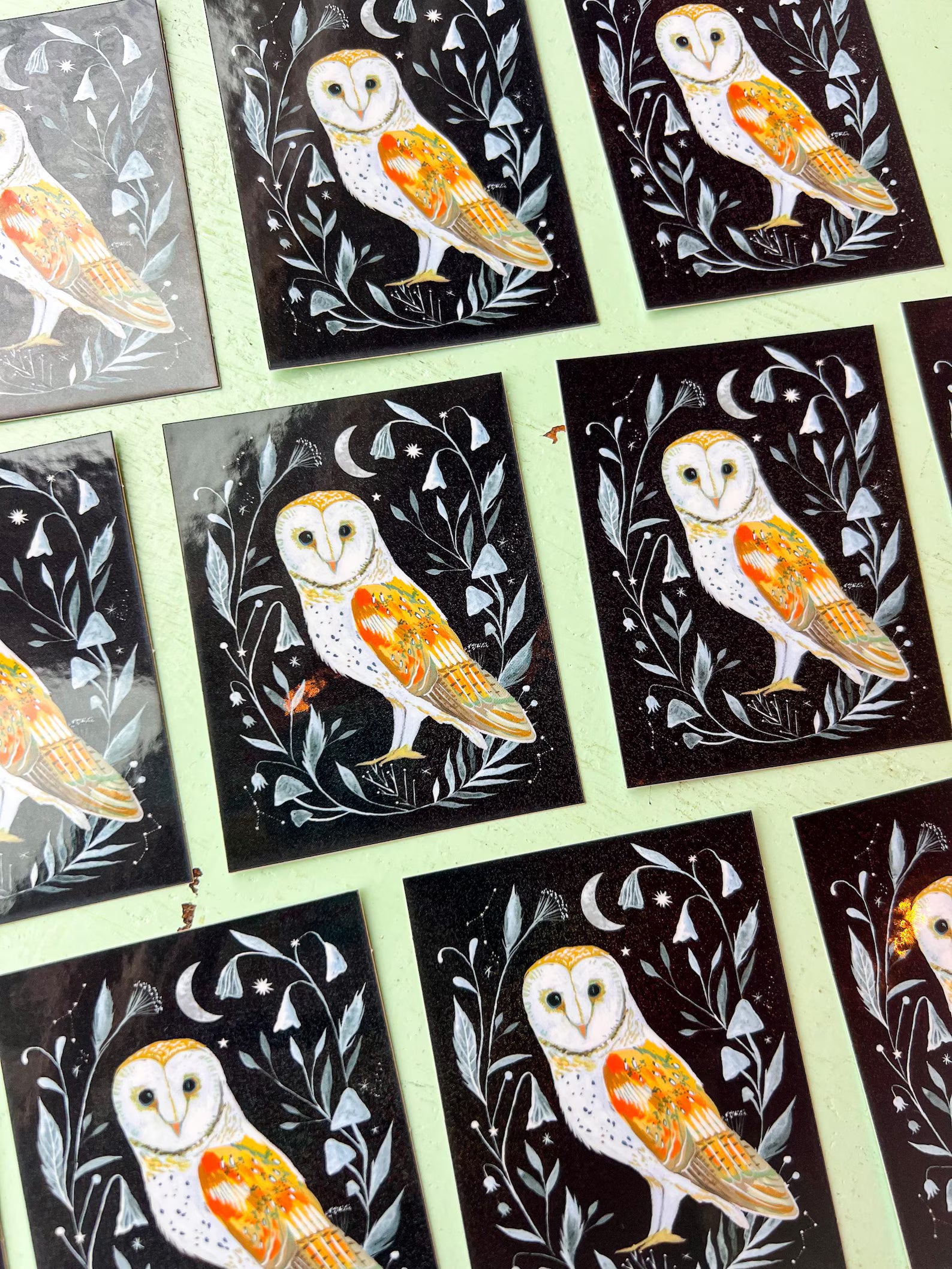 Barn Owl Sticker
