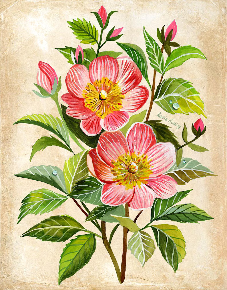 Lovely Rose Art Print