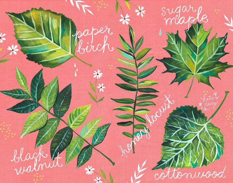 Leaf Chart Art Print