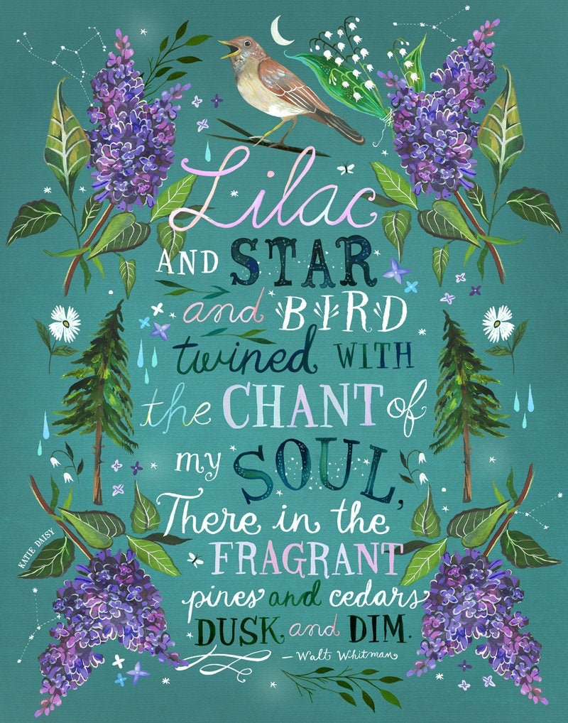 Lilac and Star Art Print