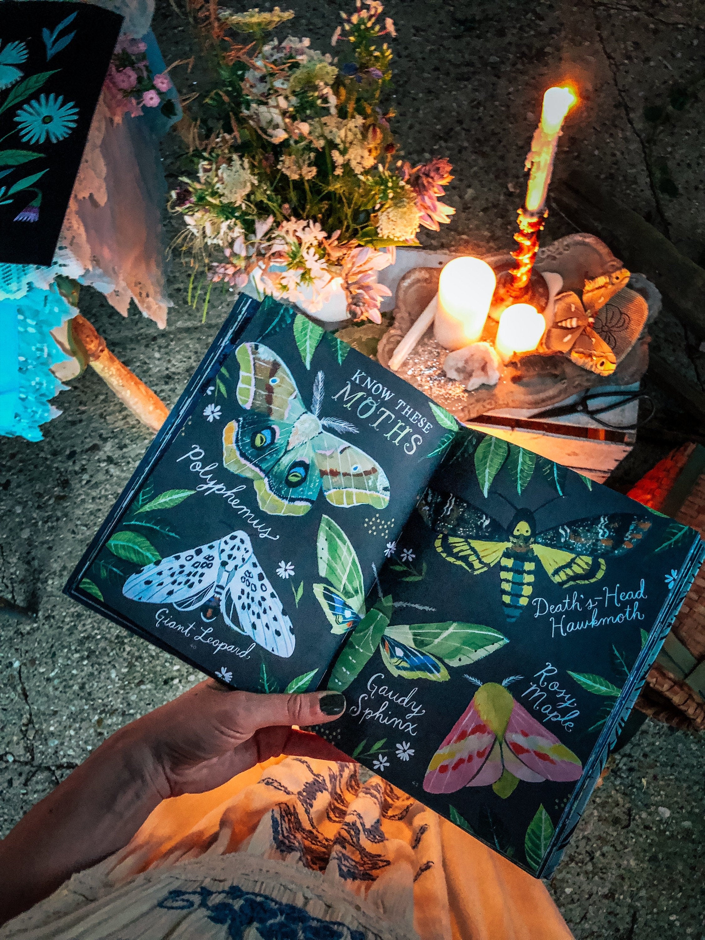 How to Be a Moonflower: A Field Guide *SIGNED BOOK!*