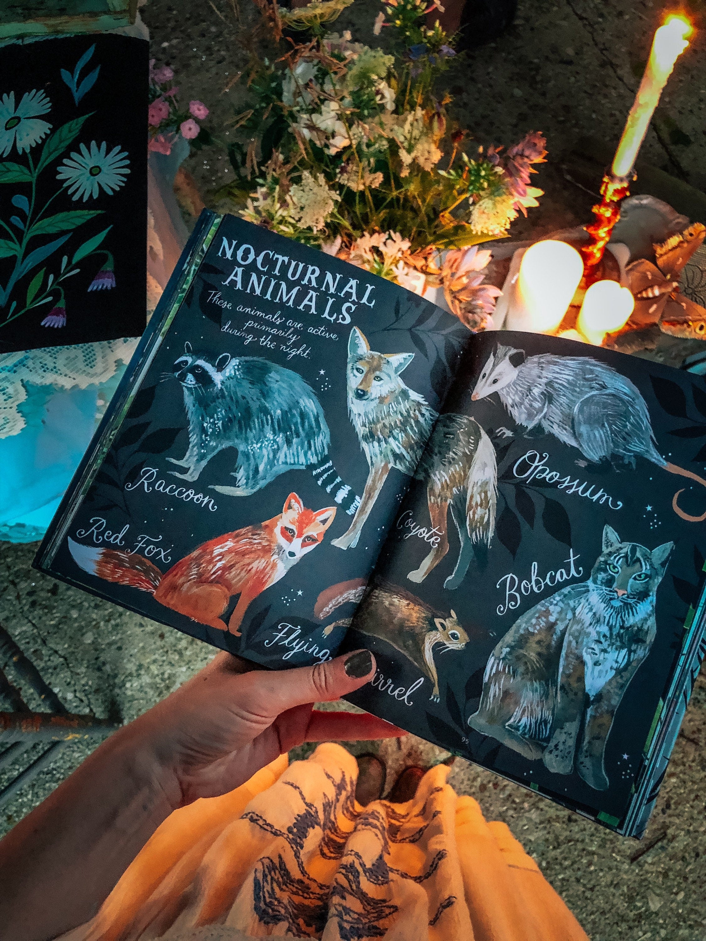 How to Be a Moonflower: A Field Guide *SIGNED BOOK!*