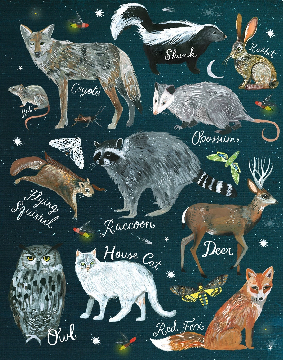 Nighttime Creatures Art Print