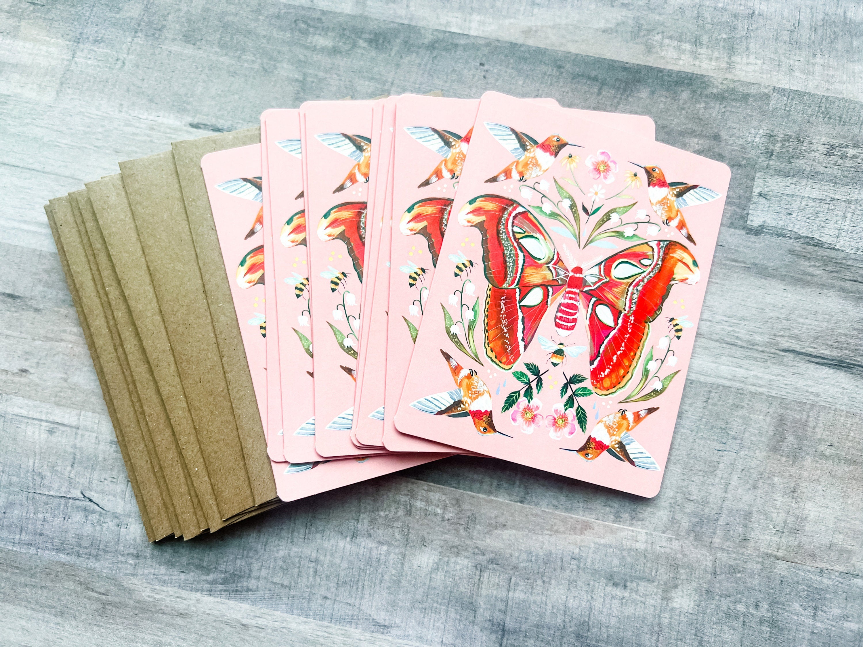 Atlas Moth Boxed Notecard Set