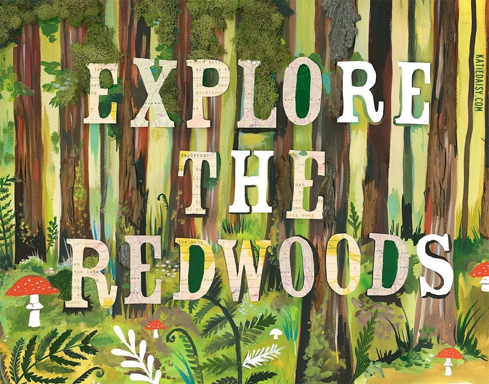 Explore The Redwoods Art Print