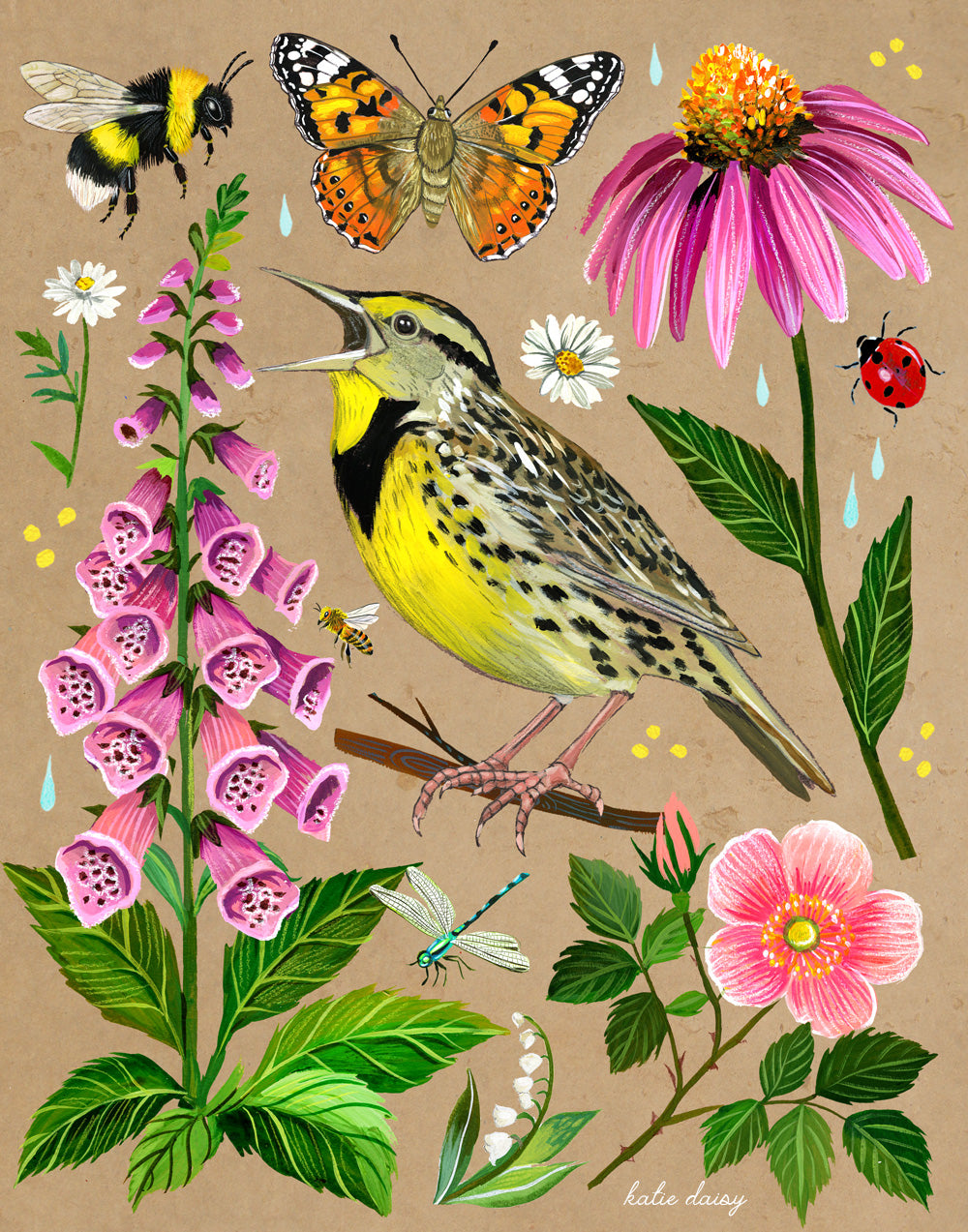 Meadowlark Art Print