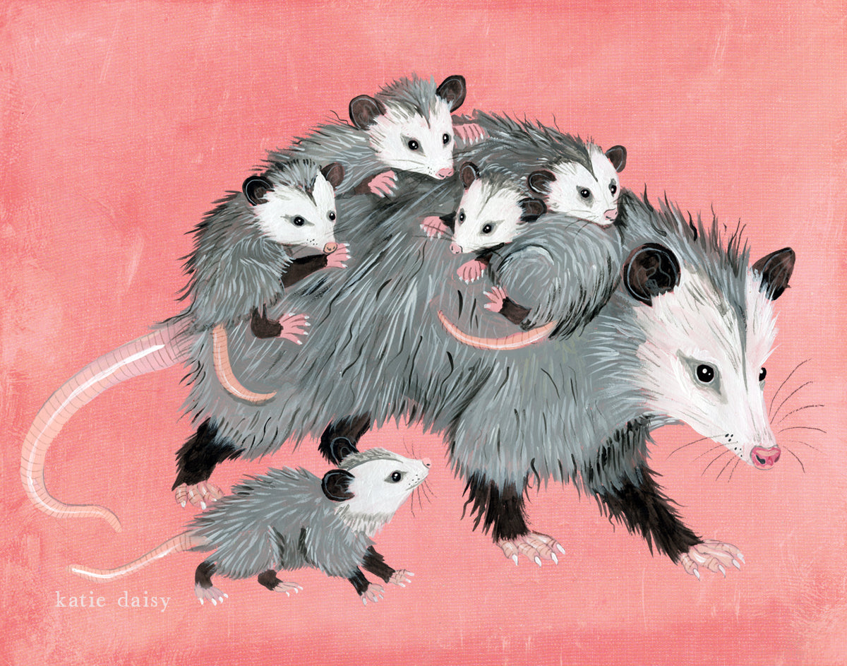 Opossum Mama Art Print