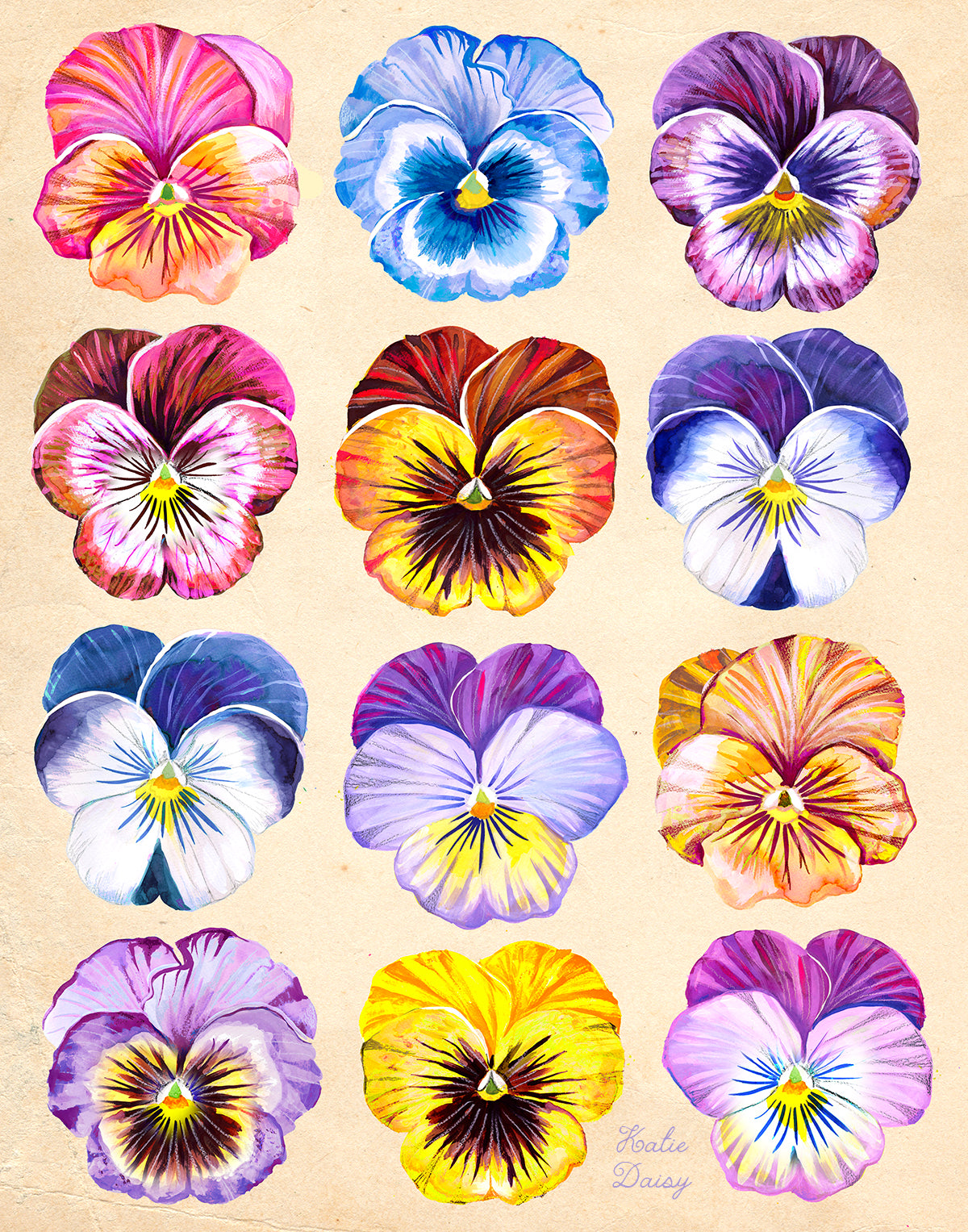 Pansies Art Print